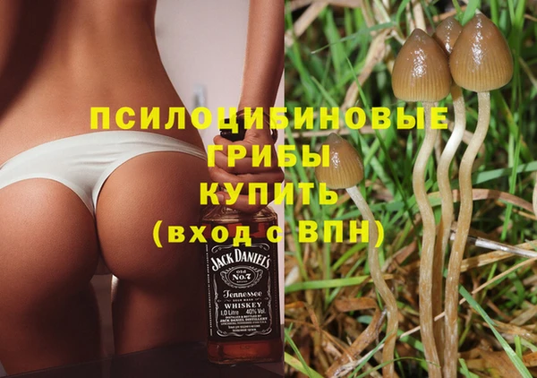 бошки Покачи