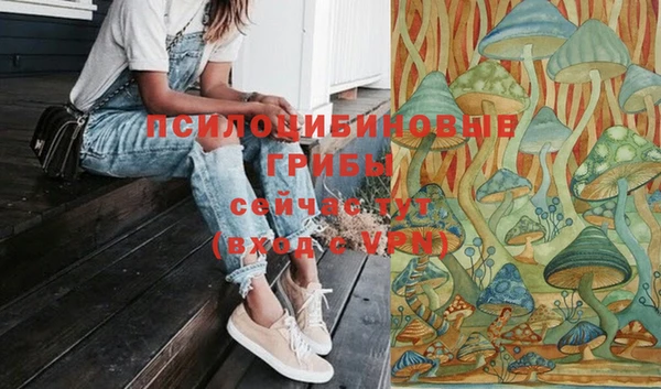 герыч Алексин