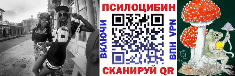 Псилоцибиновые грибы Psilocybe  купить наркотик  Кириши 