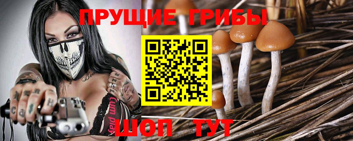 Галлюциногенные грибы Magic Shrooms Кириши